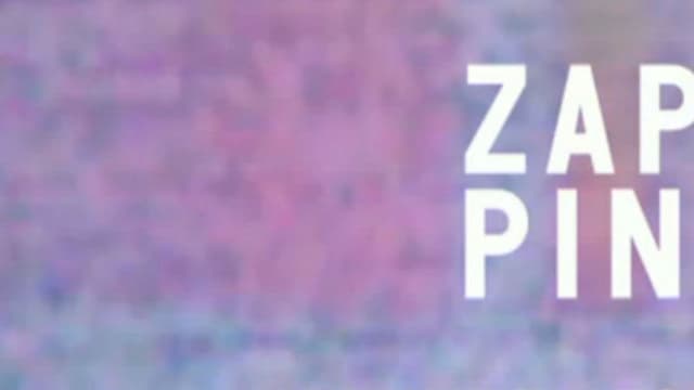 Le dernier numéro du "Zapping" a été diffusé le samedi 2 juillet 2016