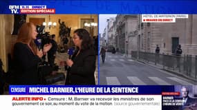 Motion de censure: "On va plonger dans l'inconnu", estime Violette Spillebout (Ensemble)