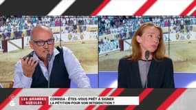 "Tuer le taureau à la fin des corridas, ce n’est pas utile !"