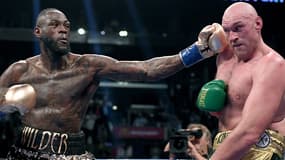 Wilder et Fury