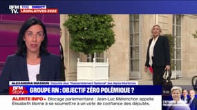 Alexandra Masson sur la Nupes à l'Assemblée: "On a l'impression qu'ils ont envie de venir là pour faire le buzz et emmerder le monde"