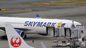 Skymark a été créée en 1996.