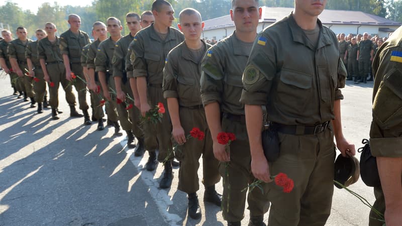 Image d'illustration