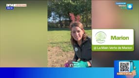 Journée internationale des célibataires - La météo de Colas du mardi 11 novembre 2025