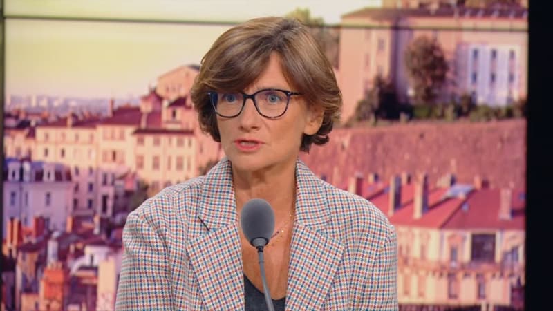 Agnès Firmin Le Bodo