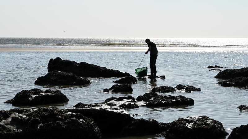 La plage d'Equihen, près de Boulogne-sur-Mer, le 20 avril 2020.