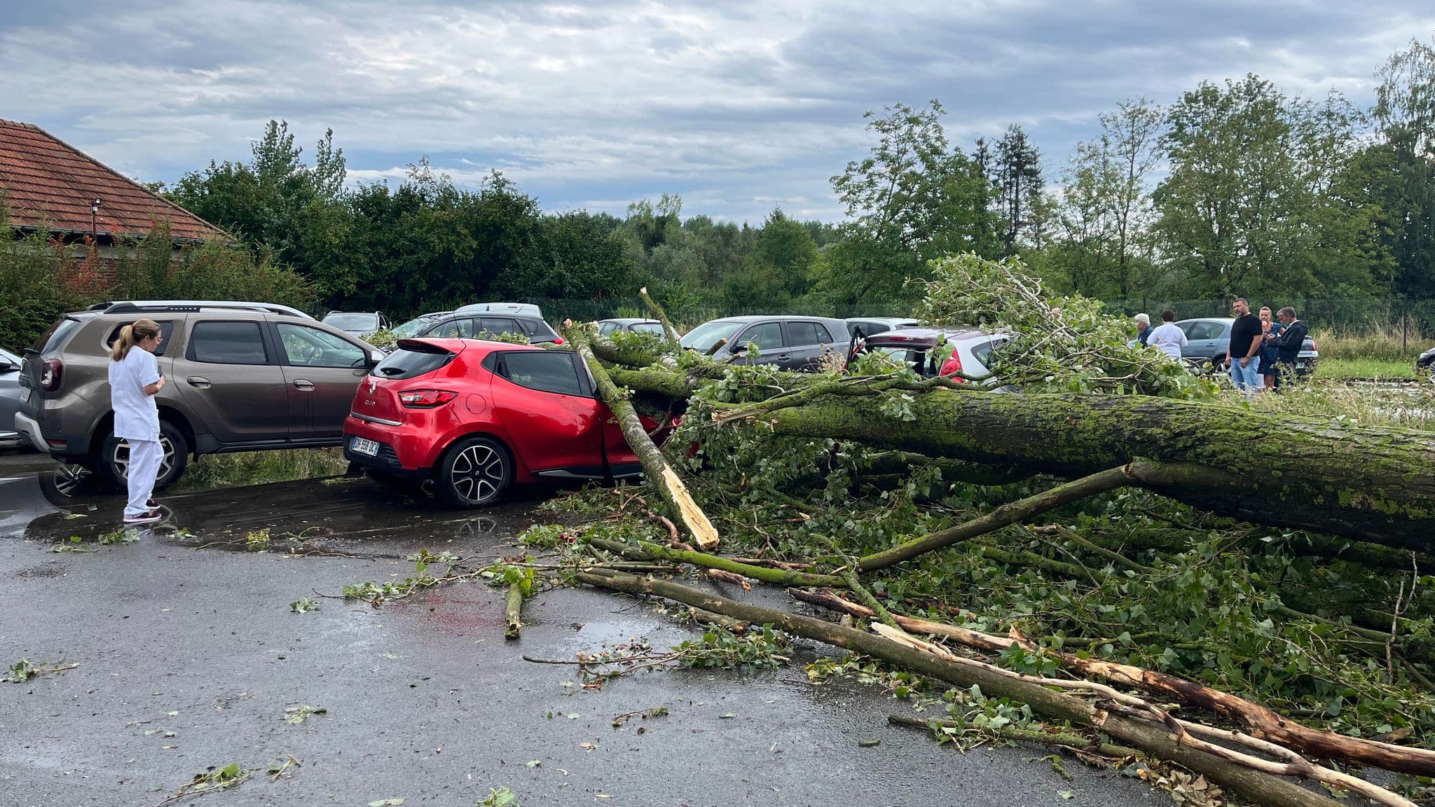 Plusieurs voitures stationnées sur un parking ont vu des arbres s'abattre sur elles ce jeudi. Plusieurs voitures stationnées sur un parking ont vu des arbres s'abattre sur elles ce jeudi.