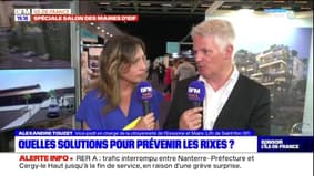 Salon des maires d'Île-de-France: quels moyens pour améliorer la sécurité des habitants?