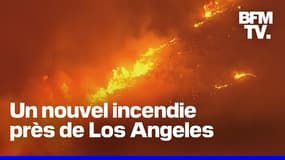 Los Angeles: un nouvel incendie s'est déclaré au nord de la ville 