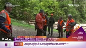 Gaëlle, auditrice : "Les sangliers et les chevreuils font des dégâts".