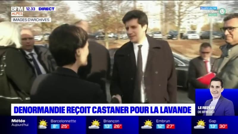 Alpes-de-Haute-Provence: Denormandie reçoit Castaner pour la lavande