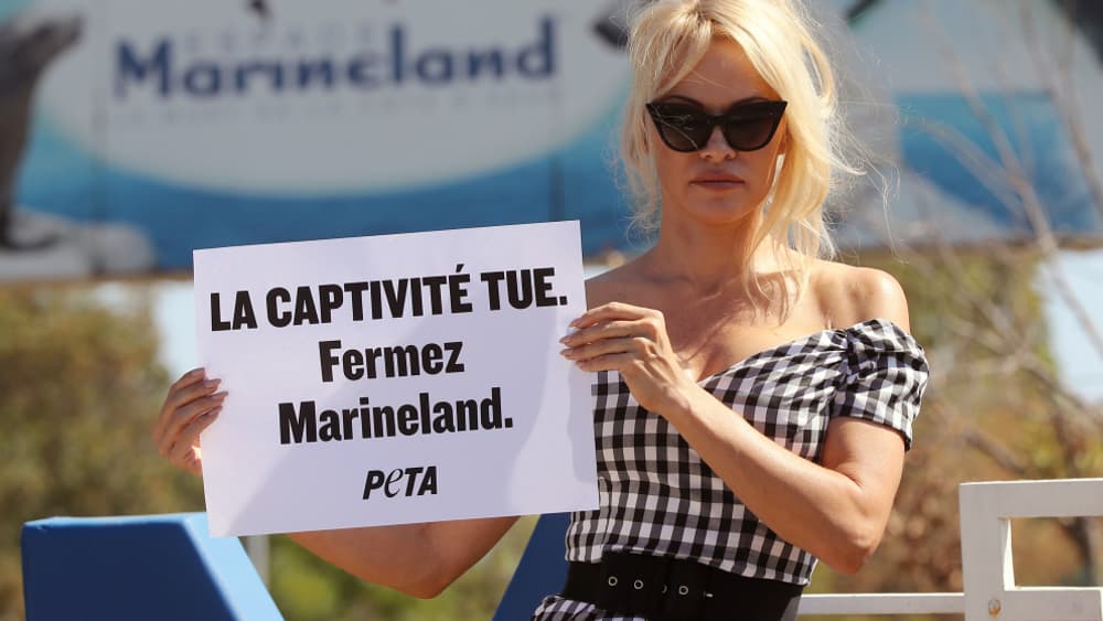 Pamela Anderson devant Marineland à Antibes, en août 2017