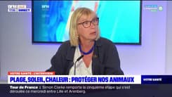 Votre santé : Animaux domestiques: conseils pour l'été