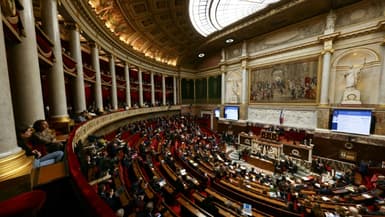 L'hémicycle de l'Assemblée nationale, à Paris, le 7 novembre 2023. PHOTO D'ILLUSTRATION