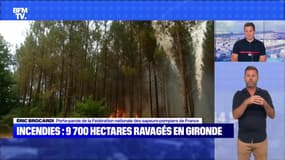 Incendies en Gironde : comment les pompiers s'organisent-ils ? - 16/07