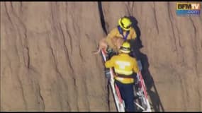 Sauvetage d’un chien bloqué dans la crevasse d’une falaise