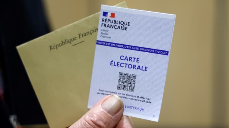 Législatives: 1 Français sur 3 souhaite une victoire du Rassemblement national, 1 sur 4 celle du Nouveau Front populaire