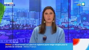 Bonjour Lyon du jeudi 20 novembre 2025