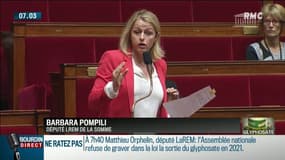 Glyphosate: "J'ai peur qu'on arrive pas à tenir la promesse du Président", déclare une députée LREM