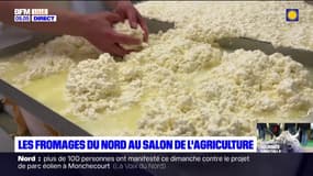 Hauts-de-France: les fromages du Nord au salon de l'agriculture
