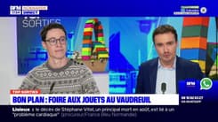 Top Sorties du vendredi 8 décembre - Bon plan : foire aux jouets au Vaudreuil