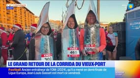 Marseille : le grand retour de la corrida du vieux-port
