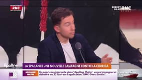 C'est votre avis : La SPA lance une nouvelle campagne contre la corrida - 11/11