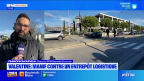 Marseille: manifestation contre un projet d'entrepôt logisitque à La Valentine