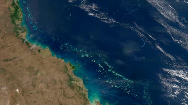Vue satellite d'une partie de la Grande barrière de corail, au nord-est de l'Australie, ici en 2011.