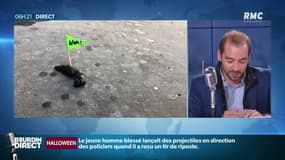 Explosion du tarif des amendes... pour les crottes de chiens 
