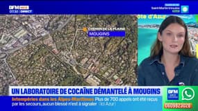 Mougins : un laboratoire de conception de cocaïne démantelé, des armes également saisies