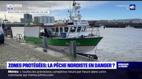 Zones protégées en mer du Nord: la pêche nordiste en danger?