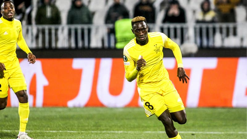 M Diop