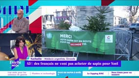 Nathalie, auditrice RMC : "Qu'on nous prive de cette tradition du sapin pour des problèmes d'écologie, c'est lamentable"
