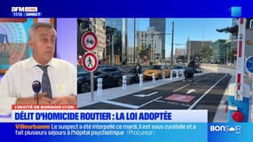 Lyon: le délit d'homicide routier, un "petit pas" pour les associations