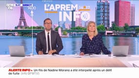 Un des fils de Nadine Morano interpellé et placé en garde à vue après un délit de fuite