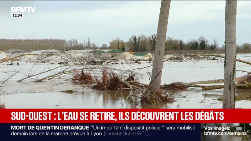 Crues: exploitations agricoles dévastées, maisons sous les eaux... l'heure est au bilan dans le Sud-Ouest