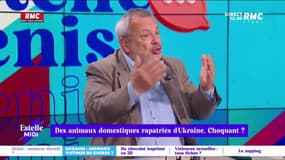 Des animaux domestiques rapatriés en Ukraine, choquant ? - 18/04