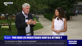 Par quoi les moustiques sont attirés ? - 05/07