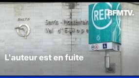 Yvelines: un homme blessé à la joue lors d'une agression au couteau dans le RER A