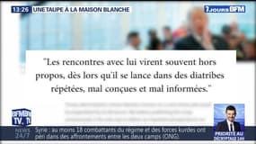 Une taupe à la Maison Blanche