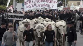 Plus de 1.200 manifestants contre réunis à Pau le 30 avril. 
