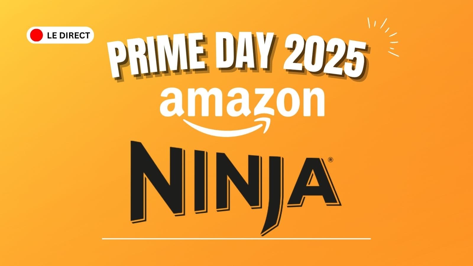 ninja