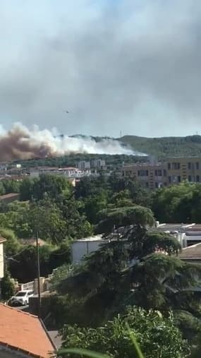 Incendie de forêt à Martigues - Témoins BFMTV