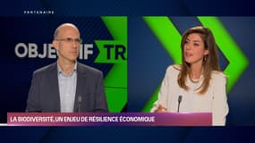 Objectif Transition - Vendredi 15 novembre