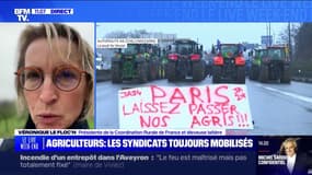 Colère des agriculteurs: Véronique Le Floc'h, présidente de la Coordination Rurale de France, affirme que le Salon de l'Agriculture "sera le salon de la colère"