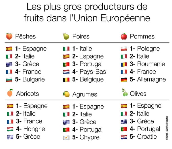 Infographie sur les fruits produits dans l'UE.