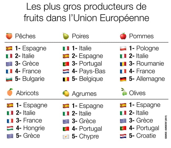Infographie sur les fruits produits dans l'UE. Infographie sur les fruits produits dans l'UE.
