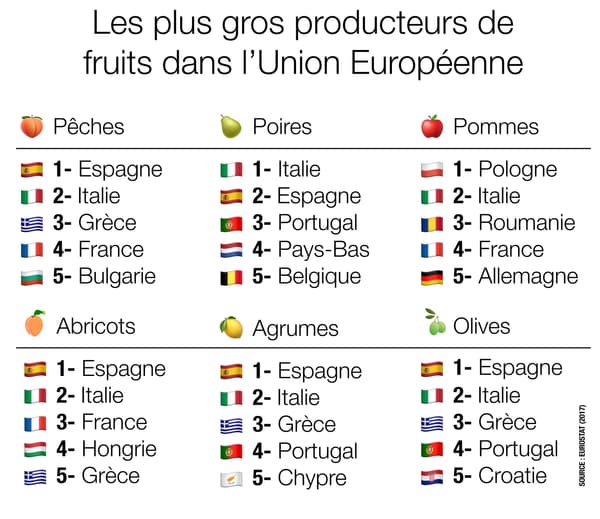 Infographie sur les fruits produits dans l'UE.