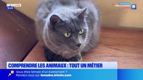 Rhône: un refuge forme des particuliers au métier de comportementalistes animaliers